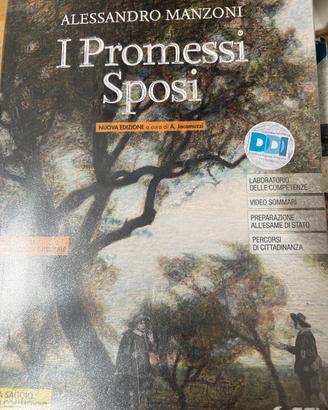 I promessi sposi