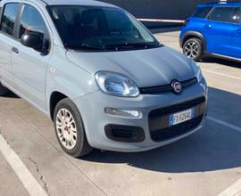 Fiat Panda 1.2 EasyPower Easy