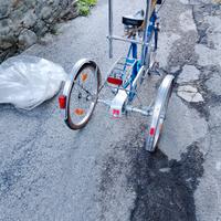 bicicletta a tre ruote 