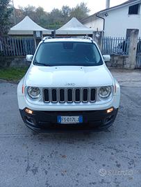 Jeep Renegade 1.6 Mjt 120 CV Limited 017