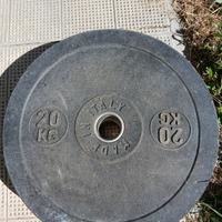 bumper 20kg foro 50 mm -coppia-