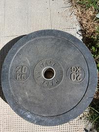 bumper 20kg foro 50 mm -coppia-