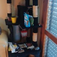 giocattoli per gatti 