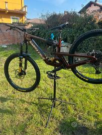Santacruz bronson v5