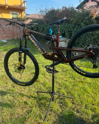 Santacruz bronson v5