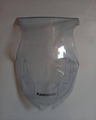 Cupolino originale Kawasaki z1000sx
