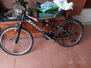 Bicicletta 