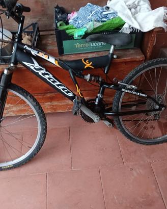 Bicicletta 