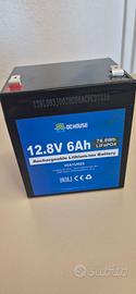DCHOUSE Batteria al litio ricaricabile LiFePO4 da