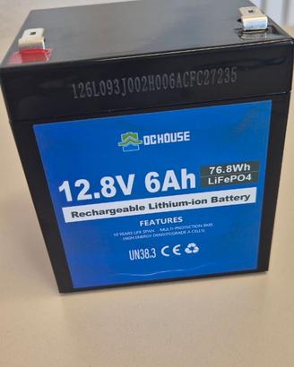 DCHOUSE Batteria al litio ricaricabile LiFePO4 da