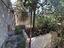 Immagine 21
