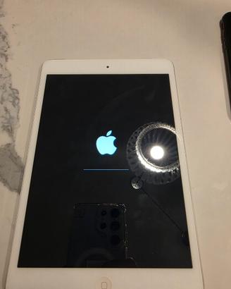 ipad a1455