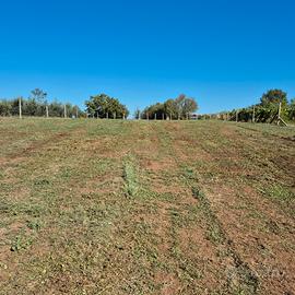 Monte Compatri Terreno Agricolo