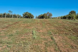 Monte Compatri Terreno Agricolo