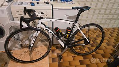 Bici da corsa carbonio dedacciai assoluto e regal