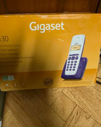 telefono fisso 