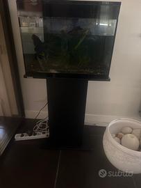 Acquario Askoll Pure LED