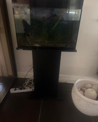 Acquario Askoll Pure LED