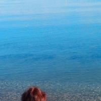 Assistenza agli animali