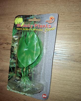 piantina acquario