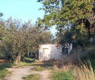 Rustico a Marcellina