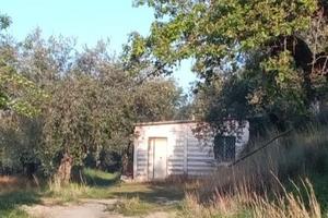 Rustico a Marcellina