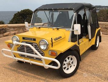 mini moke