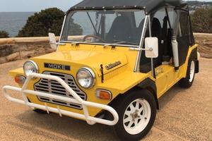 mini moke