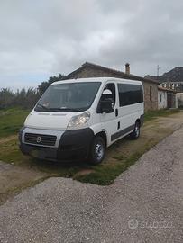 fiat ducato  panorama 9 posti 2.3 120 multijet  