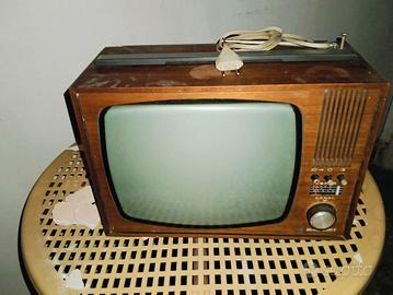 Televisione portatile Telefunken 