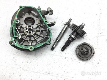 PIAGGIO LIBERTY 150 CARTER E INGRANAGGI RUOTA POST