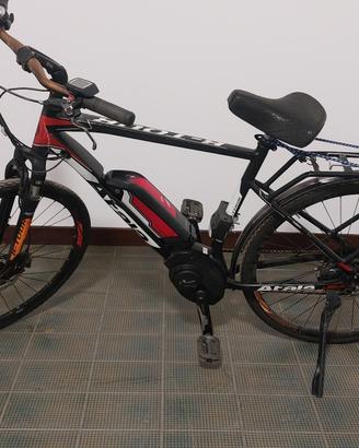 Atala b-tour