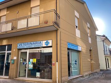 Negozio Cesena sobborgo Federico comandini