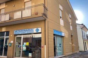 Negozio Cesena sobborgo Federico comandini