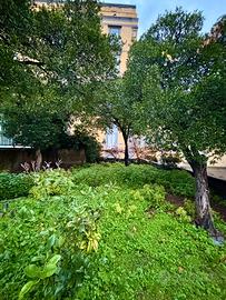 Appartamento in Via Bosco di Capodimonte