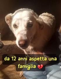 Bianca 12 anni