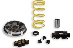 Variatore Malossi Multivar 517128