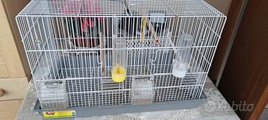 gabbia per uccelli
