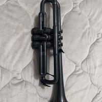 pTrumpet 