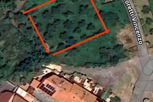Terreno Uliveto