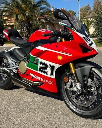 Ducati Panigale V2 Troy Bayliss