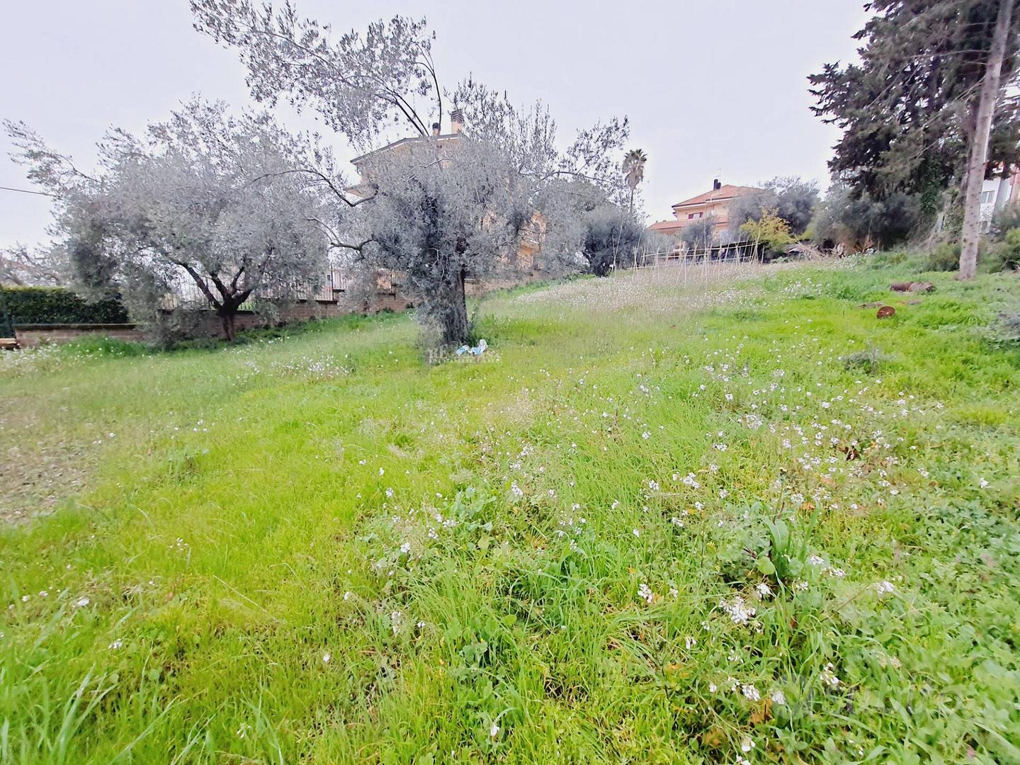 Terreno edificabile residenziale - Monteprandone - Vista 4