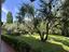 Immagine 23