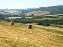 grande-azienda-agricola-1000-ettari