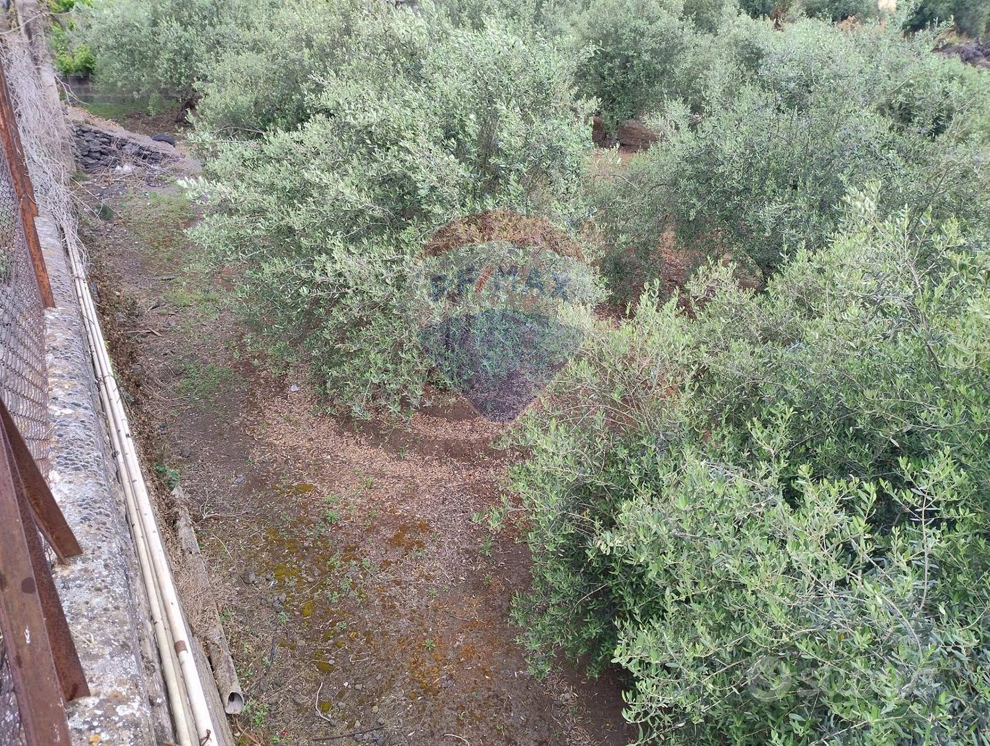 Terreno - Catania - Altro