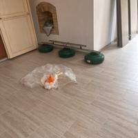 Lampadario originale