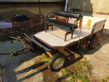 Carro quattro ruote pony o asino