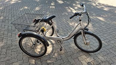 Triciclo elettrico per adulti e anziani