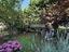 Immagine 11