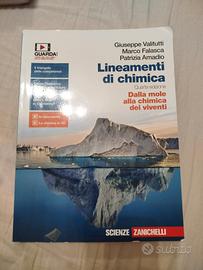 lineamenti di chinica
